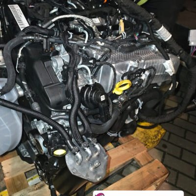 Motor DSR 2,0 TDI | repas-motorov.sk